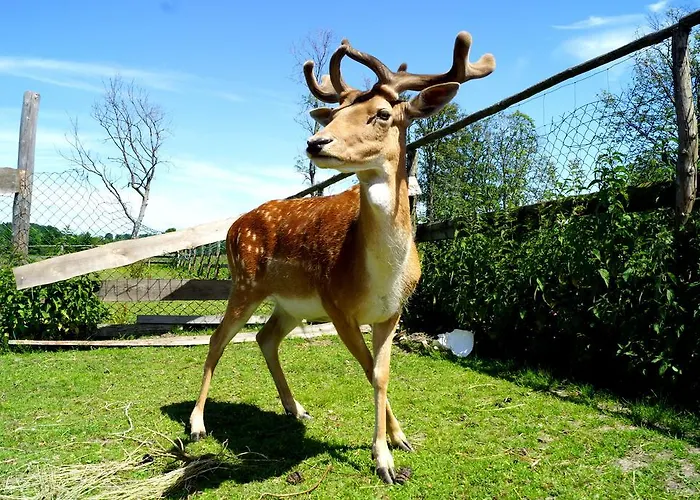 Palac Parkowy W Parnowie ベッド・アンド・ブレックファスト