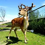 Palac Parkowy W Parnowie Frühstückspension