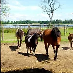 Frühstückspension Palac Parkowy W Parnowie