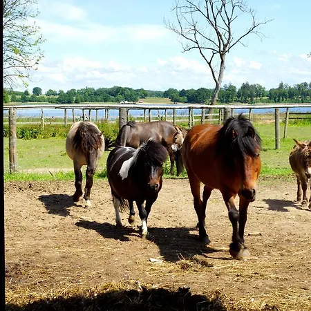 Bed and breakfast Palac Parkowy W Parnowie