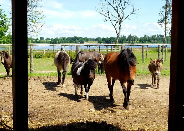 Bed and breakfast Palac Parkowy W Parnowie